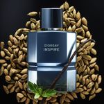 perfume-de-hombre-aroma-herbal-y-maderoso