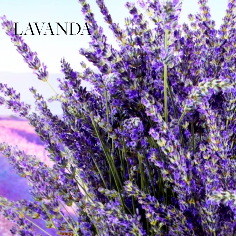 Spa-Collection-Jabon-para-Manos-Lavanda